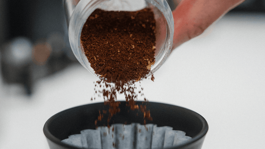 Filter Brew Guide - Ninth Coffee Roasters