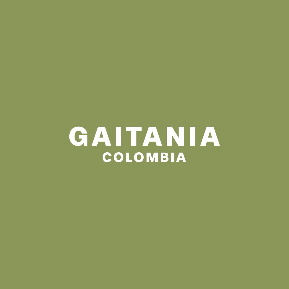 GAITANIA, COLOMBIA - Ninth Coffee Roasters