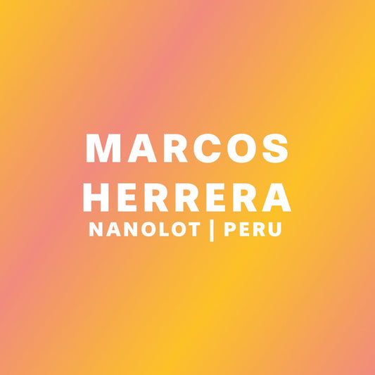 MARCOS HERRERA | NANOLOT | PERU | FILTER - NINTH COFFEE ROASTERS