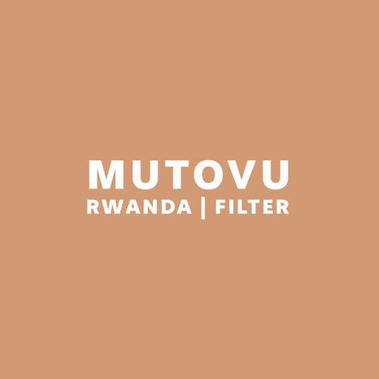 MUTOVU | RWANDA | FILTER - NINTH COFFEE ROASTERS