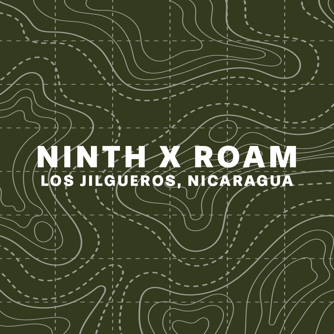 NINTH X ROAM, LOS JILGUEROS, NICARAGUA - NINTH COFFEE ROASTERS